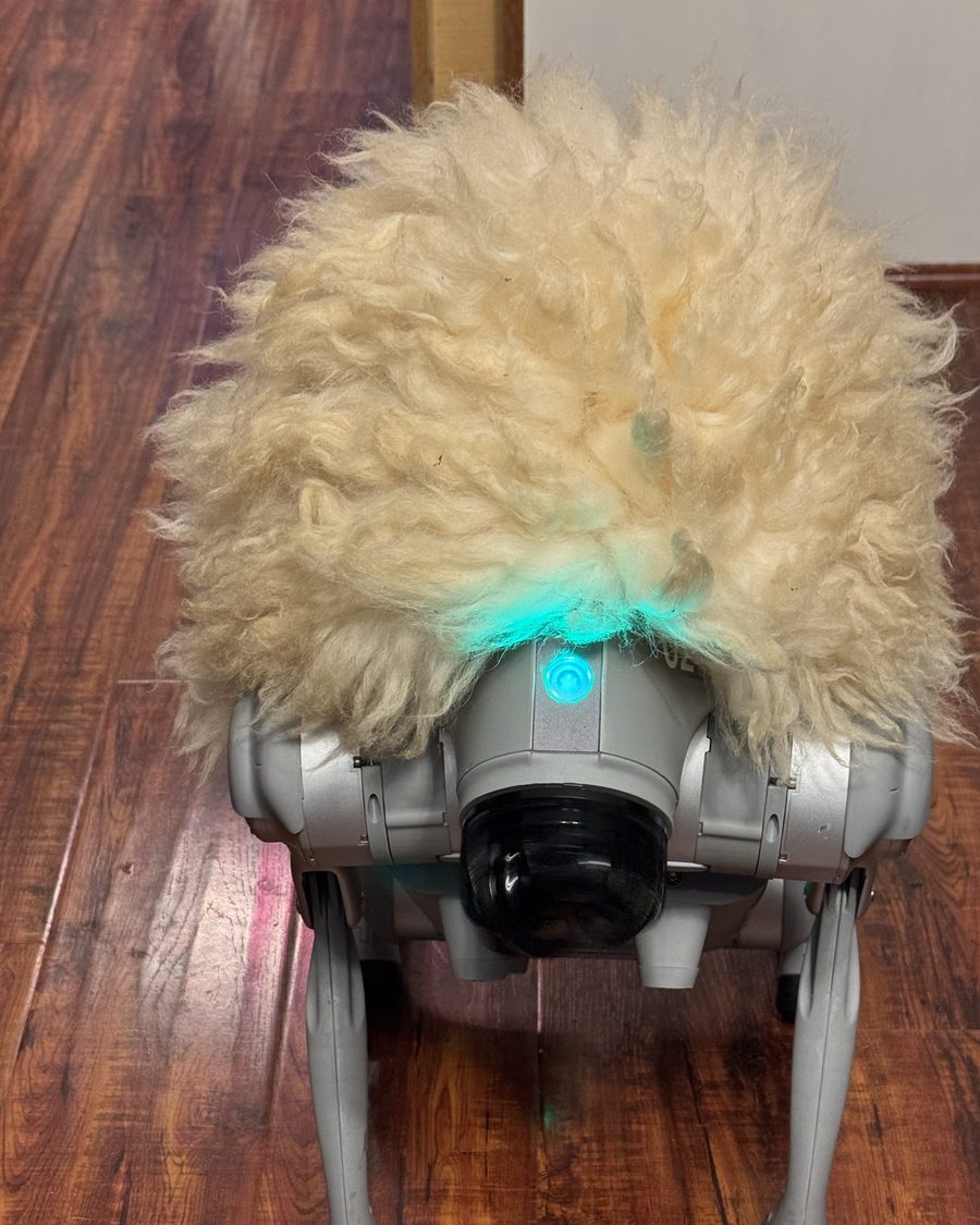 Claudius Maximus, pictured as a quadruped robot wearing a fluffy cream mane